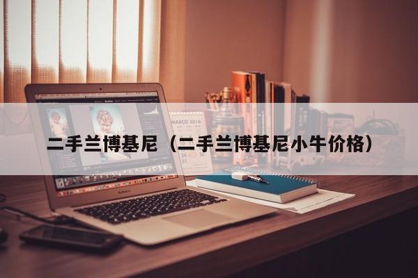 二手兰博基尼（二手兰博基尼小牛价格）