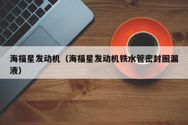 海福星发动机（海福星发动机铁水管密封圈漏液）