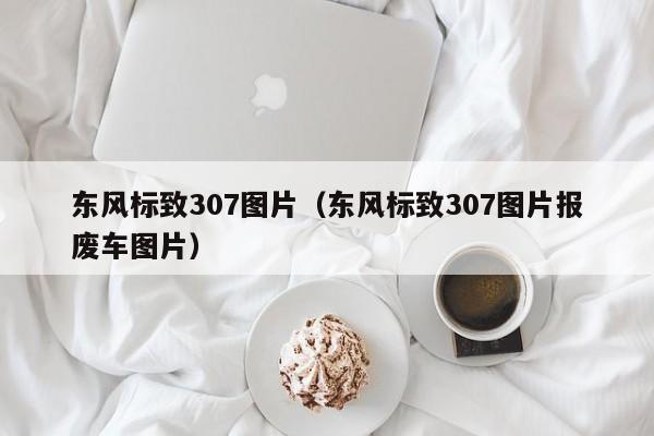 东风标致307图片（东风标致307图片报废车图片）