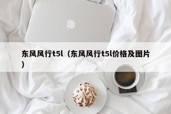 东风风行t5l（东风风行t5l价格及图片）