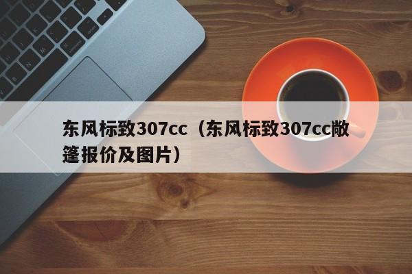 东风标致307cc（东风标致307cc敞篷报价及图片）