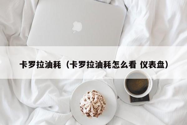 卡罗拉油耗（卡罗拉油耗怎么看 仪表盘）