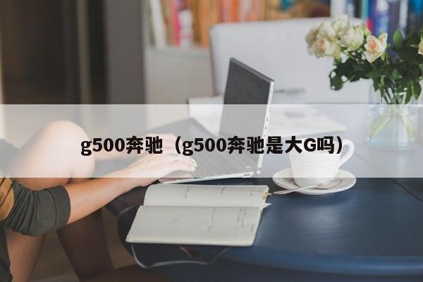g500奔驰（g500奔驰是大G吗）