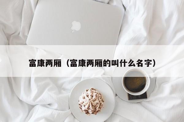 富康两厢（富康两厢的叫什么名字）