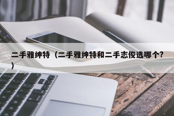 二手雅绅特（二手雅绅特和二手志俊选哪个?）