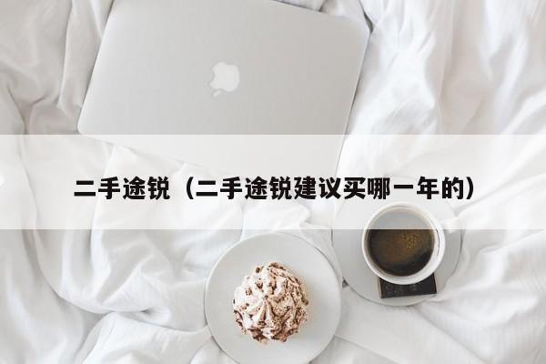 二手途锐（二手途锐建议买哪一年的）
