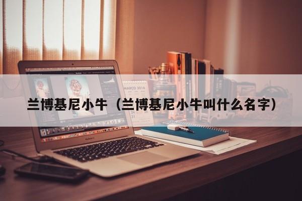 兰博基尼小牛（兰博基尼小牛叫什么名字）