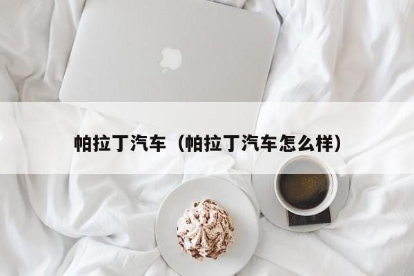 帕拉丁汽车（帕拉丁汽车怎么样）