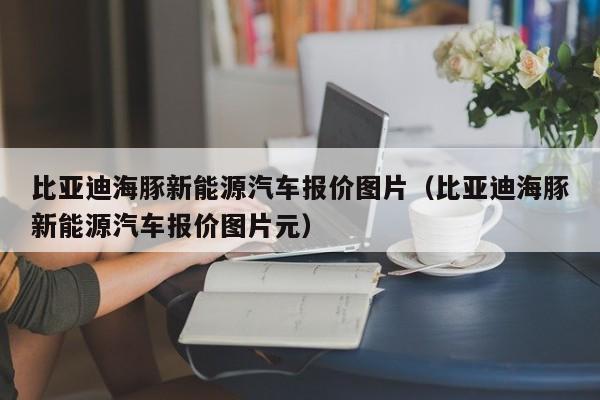 比亚迪海豚新能源汽车报价图片（比亚迪海豚新能源汽车报价图片元）